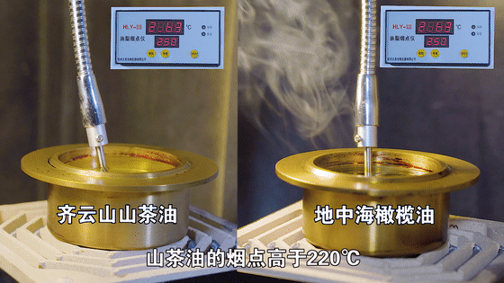 齐云山高油酸山茶油:健康生活新选择,助力“体重管理年”行�?04.gif 齐云山高油酸山茶油:健康生活新选择,助力“体重管理年”行�?04.gif